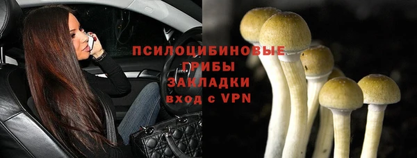 дурь Навашино