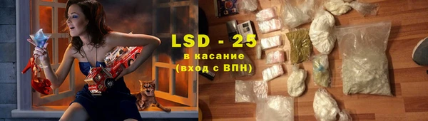 стаф Надым
