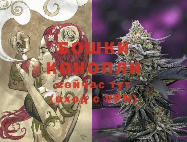 стаф Надым