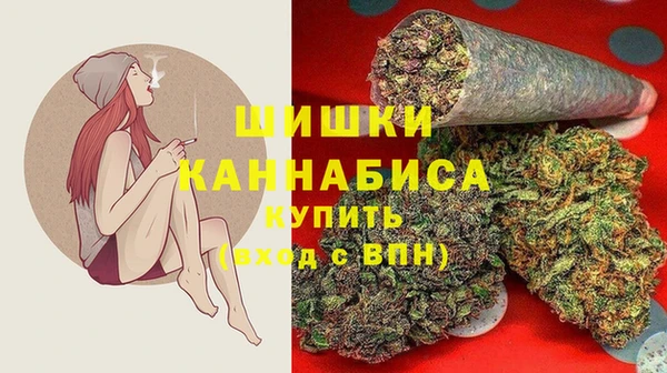 стаф Надым