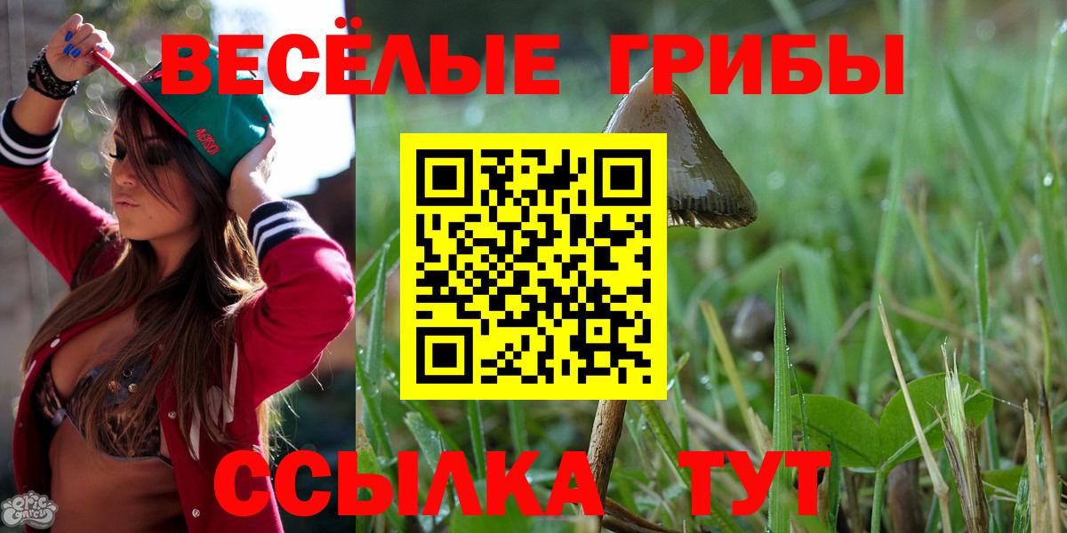 Псилоцибиновые грибы Magic Shrooms  Псилоцибиновые грибы Magic Shrooms  Вход с VPN  Северск 